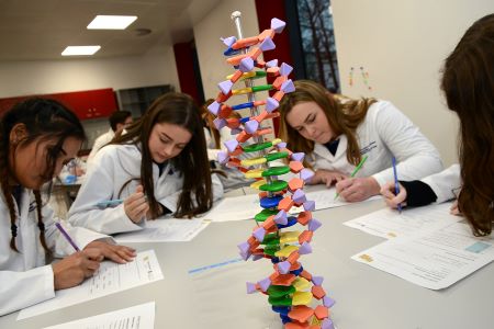 Secondary students completing worksheets in the lab