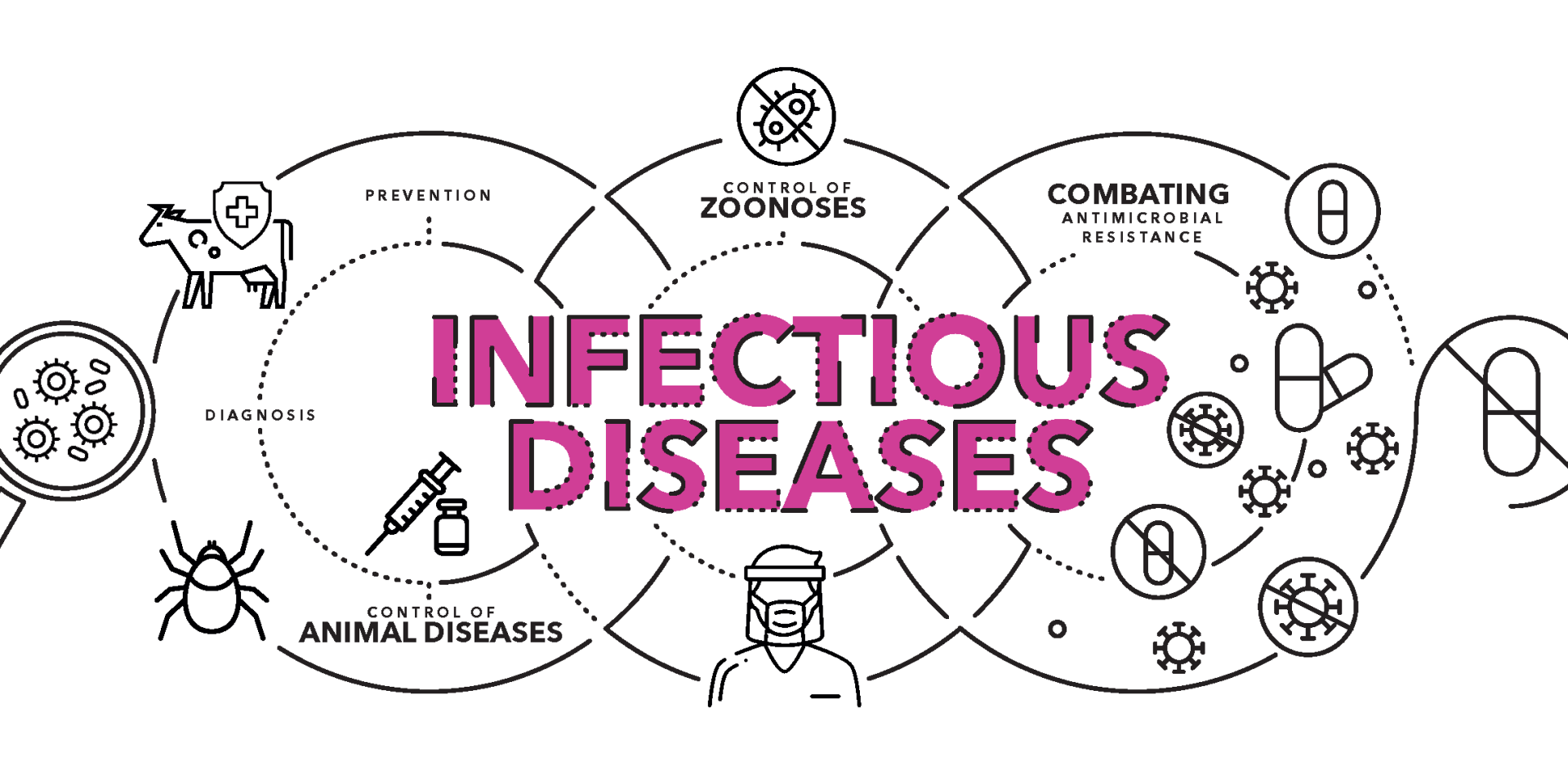 A graphic showing the relationship between disease and diagnosis, prevention, control of zoonoses, antimicrobial resistance and animal diseases